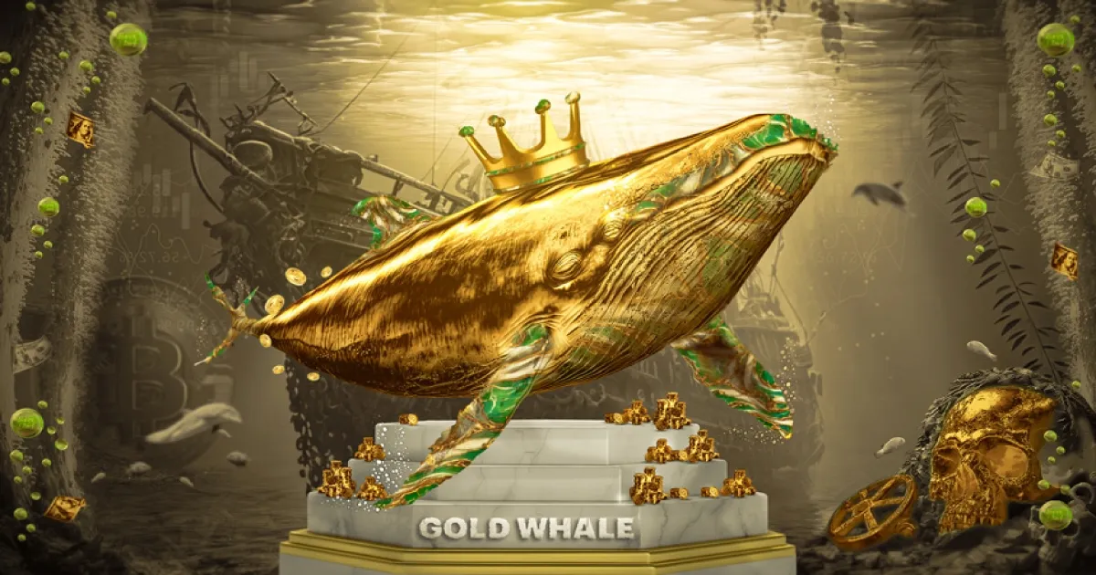 Discover the GOLD WHALE Contest: Win $5000 in Prizes with Forexchief!