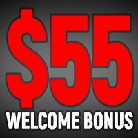55 USD No Deposit Welcome Bonus Promotions